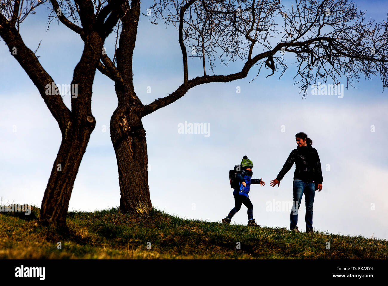 Sagome di persone nella primavera orchard alberi senza foglie Foto Stock