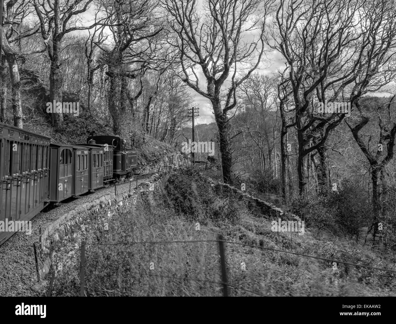 Il Taliesin III, un singolo Fairlie locomotore con carrelli attraversa la pietra vicino Causeway Coed Bryn Mawr, Maentwrog, Galles. Foto Stock