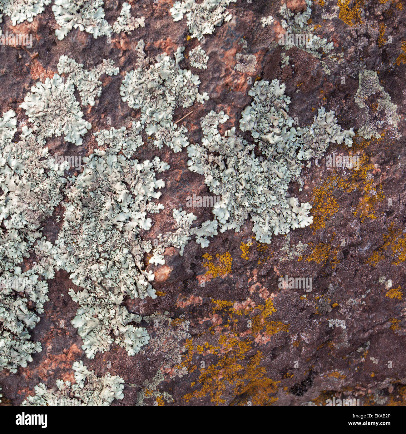 Naturale di pietra di granito la texture dello sfondo. Ruvido e arrugginito. Close-up, macro Foto Stock