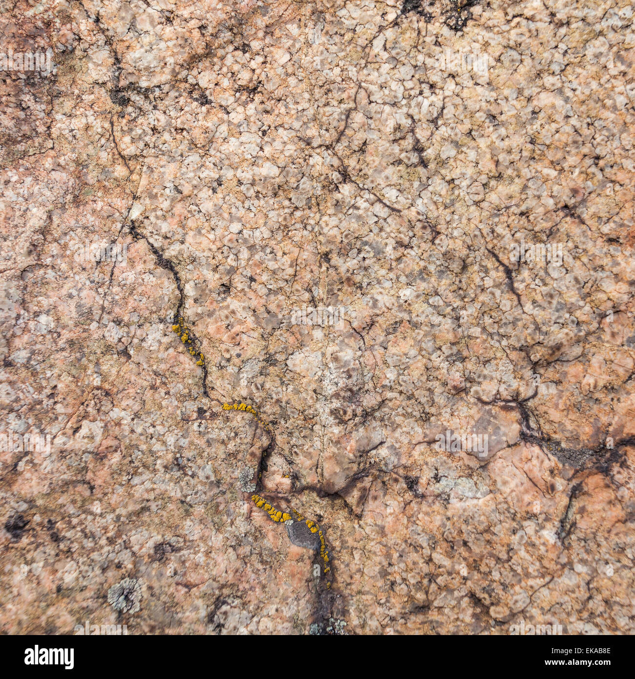 Naturale di pietra di granito la texture dello sfondo. Ruvido e arrugginito. Close-up, macro Foto Stock