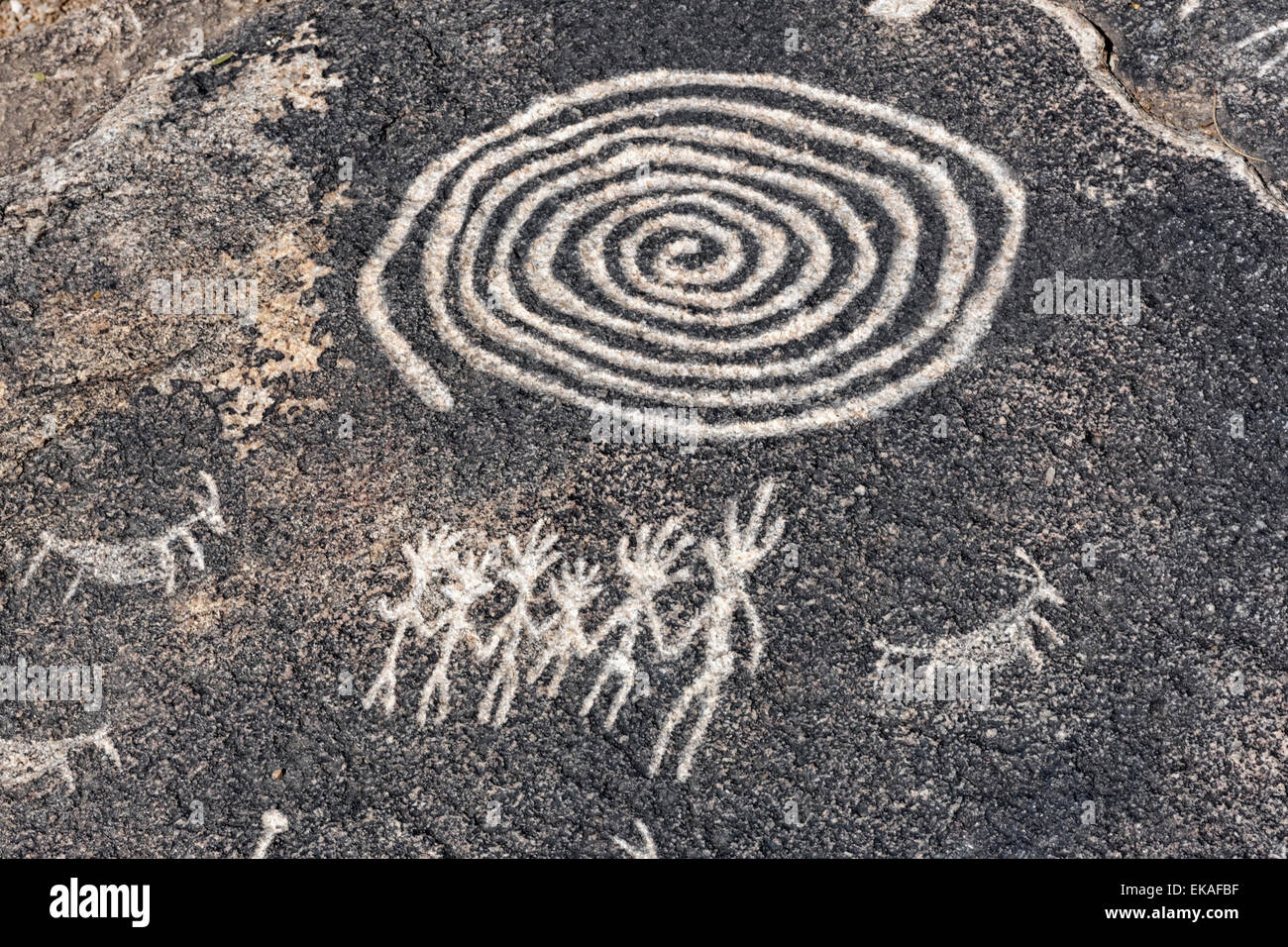 Incisioni rupestri creato dagli Indiani Hohokam, che occupano le valli intorno a Phoenix e Tucson tra 300Ð1500 C.E. Foto Stock