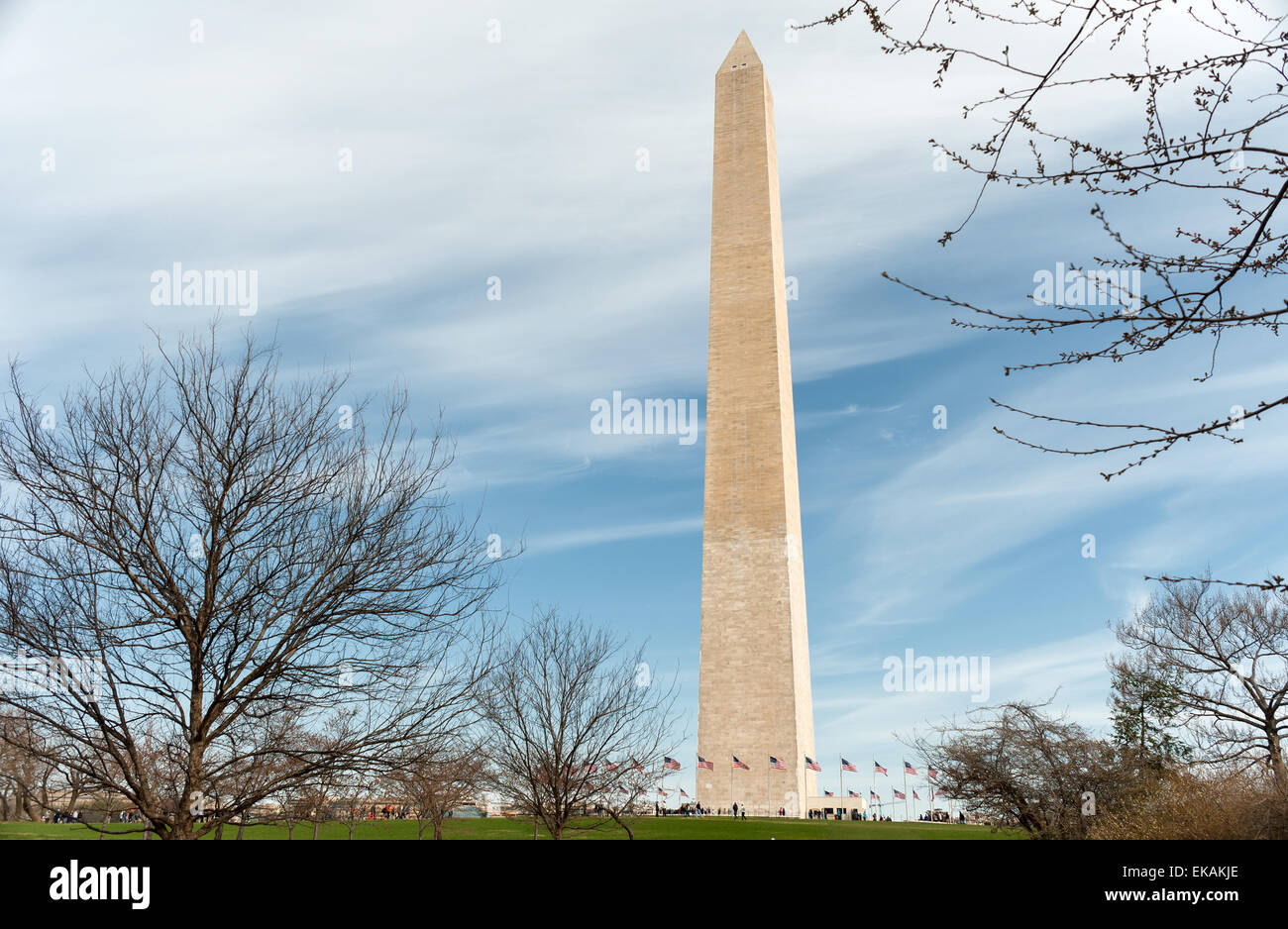 Monumento di Washington (centro commerciale) in Washington D.C. Foto Stock