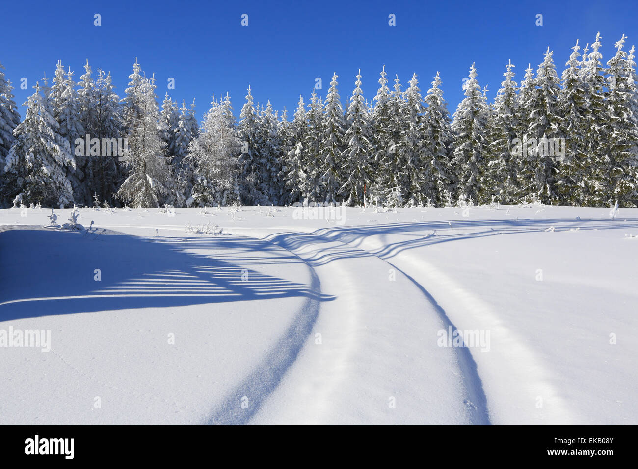 In inverno il paesaggio assolato e piste per sciatori, Sumava, Repubblica Ceca Foto Stock