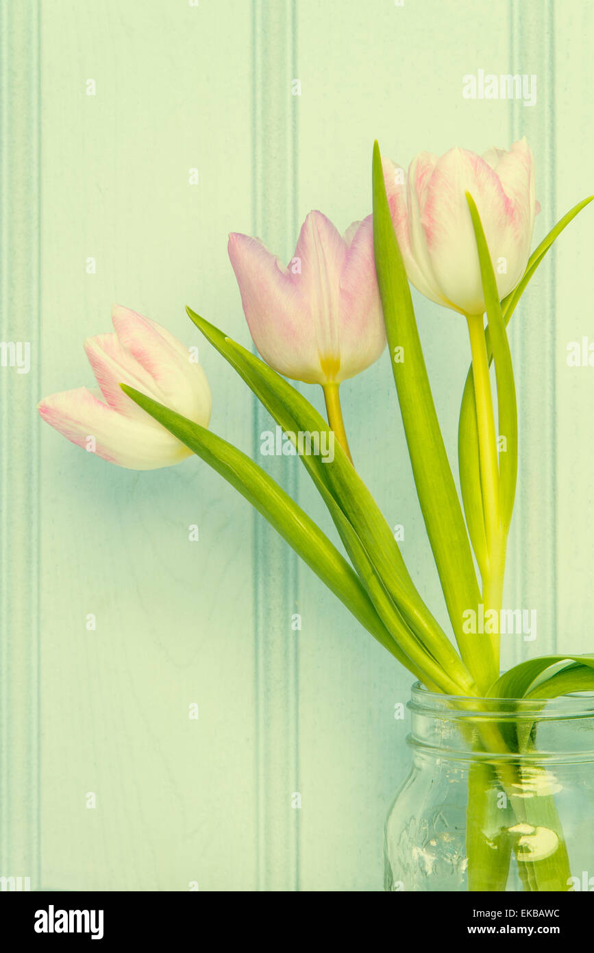 Ancora vita immagine di fiori di primavera con Instagram Croce trasformati filtro applicato Foto Stock