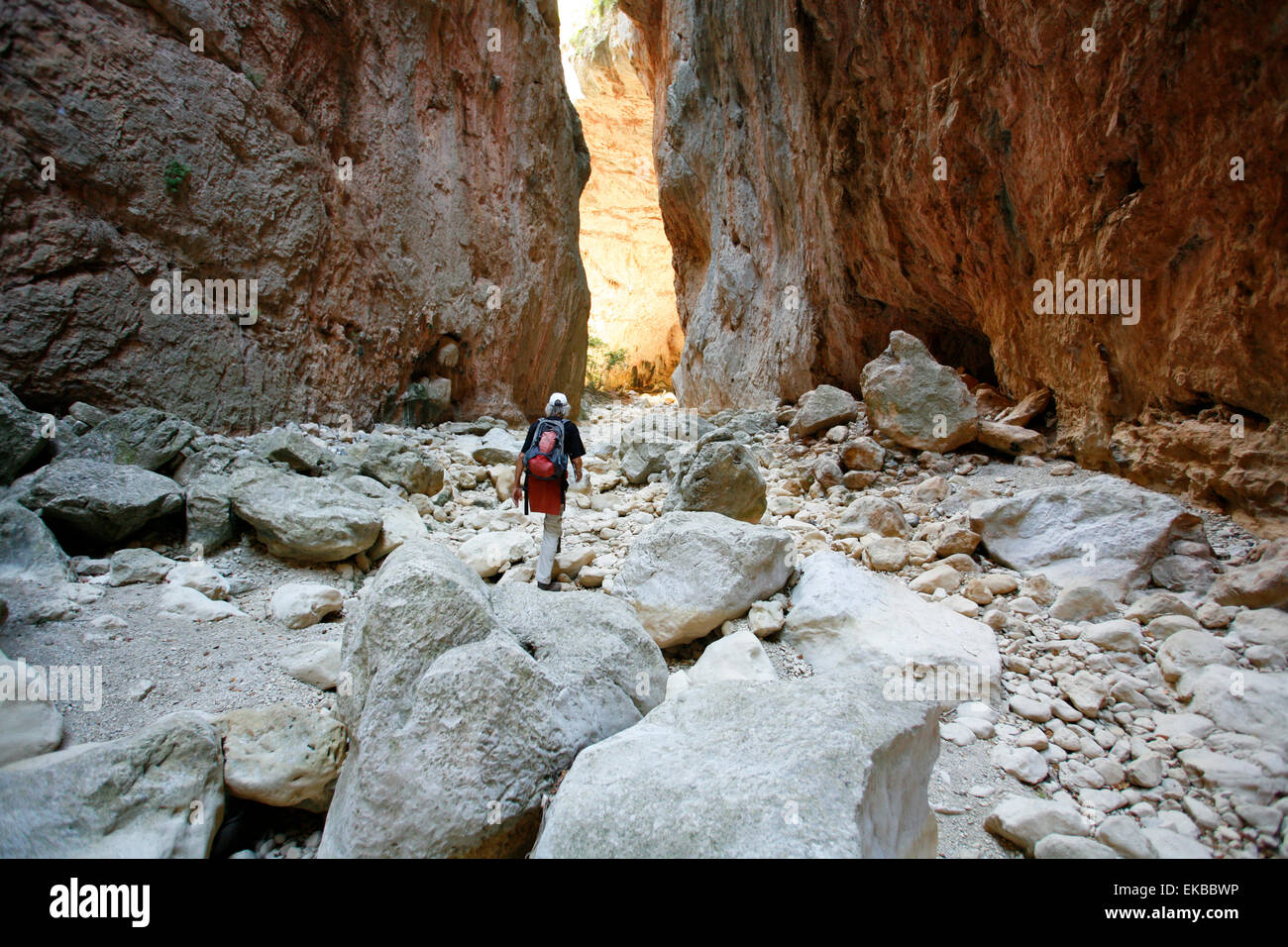 Il Garganda Verde, Parque Natural Sierra de Grazalema, Andalusia, Spagna, Europa Foto Stock