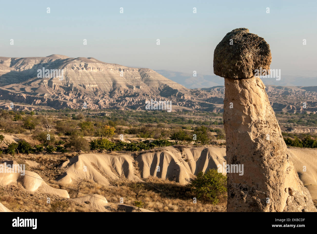 I pinnacoli di ceneri vulcaniche, Urgup, Sito Patrimonio Mondiale dell'UNESCO, la Cappadocia, Anatolia, Turchia, Asia Minore, Eurasia Foto Stock