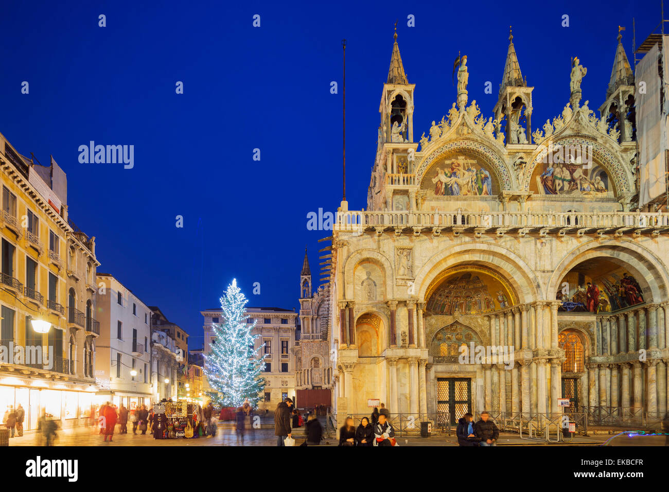 Albero di natale in Piazza San Marco, San Marco, Venezia, Sito Patrimonio Mondiale dell'UNESCO, Veneto, Italia, Europa Foto Stock