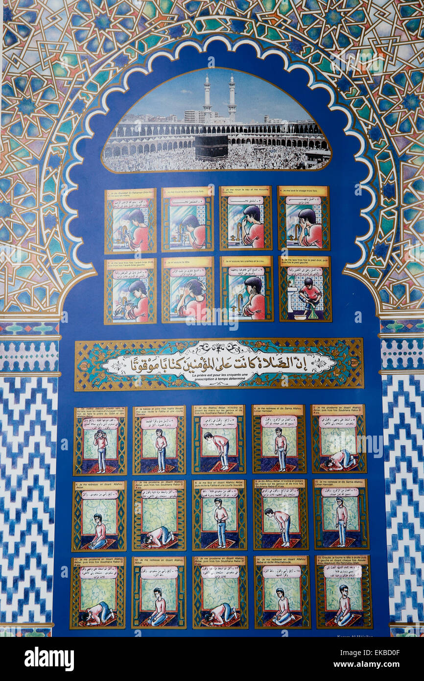 Insegnamento della islamica cinque preghiere giornaliere (Salat), Paris Grande Moschea, Parigi, Francia, Europa Foto Stock