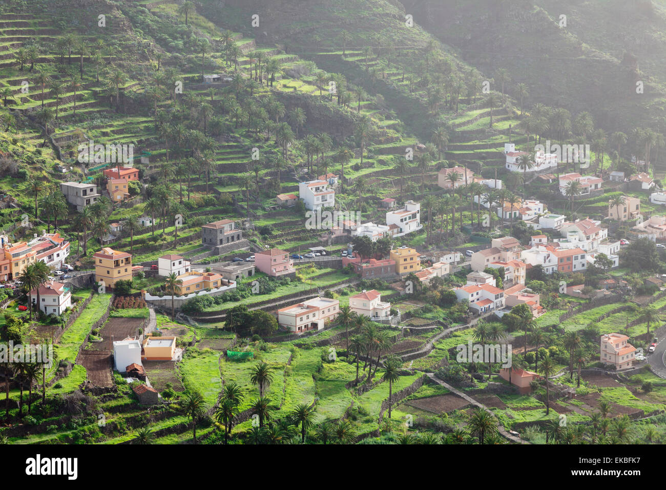 Terrazze, Valle Gran Rey, La Gomera, isole Canarie, Spagna, Europa Foto Stock