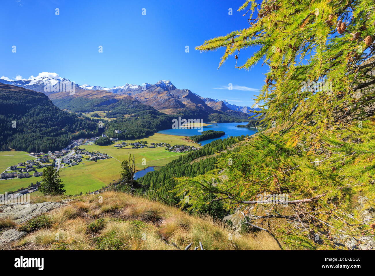 In estate la valle Engadina diventa un vero paradiso, laghi incontaminati e picchi di elegante, Grigioni, Svizzera Foto Stock