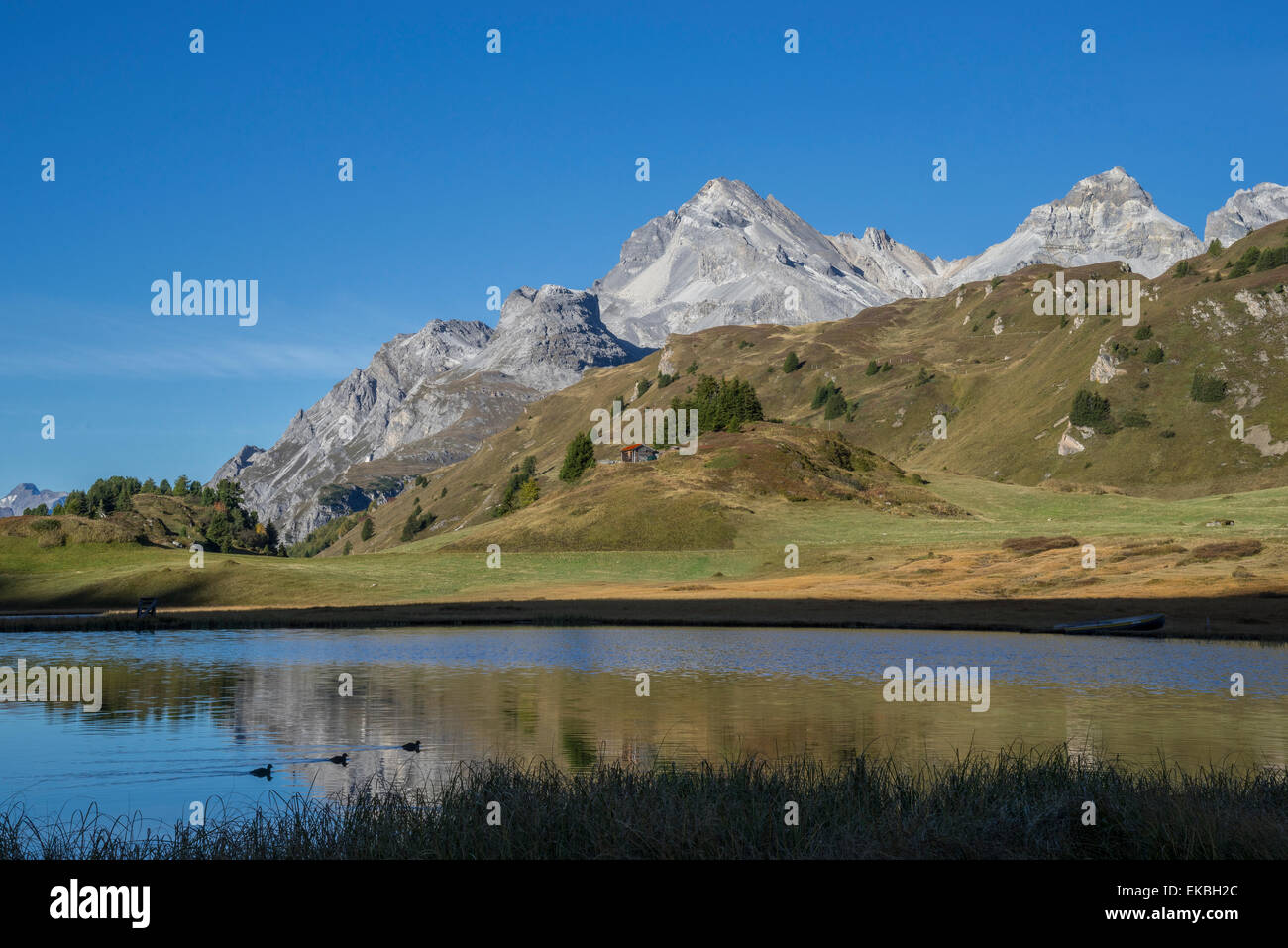 Lai da Vons, piccolo lago delle Alpi, Grigioni, alpi svizzere, Svizzera, Europa Foto Stock