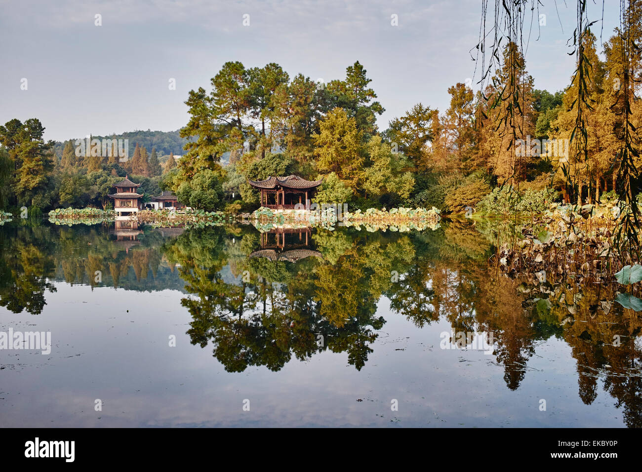 Immagine speculare di alberi ed edifici tradizionali su Westlake, Hangzhou, Cina Foto Stock