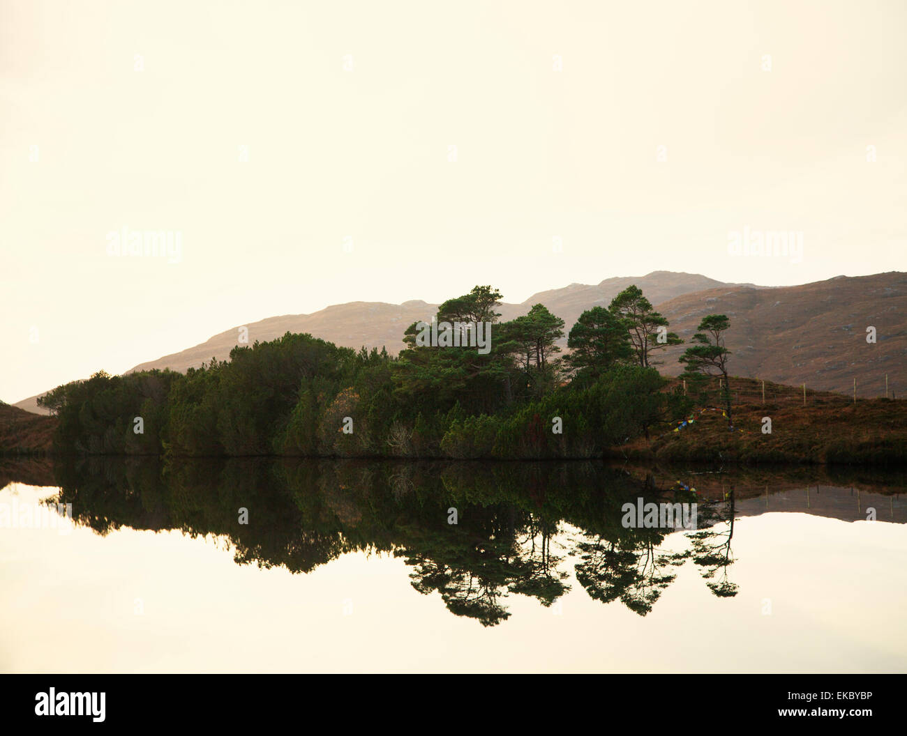 Vista la calma loch e alberi, a nord-ovest di Highlands, Scotland, Regno Unito Foto Stock