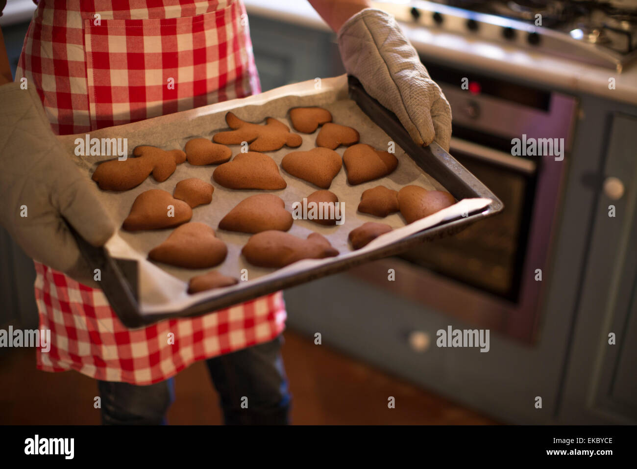Appena sfornato in casa cannella e miele biscotti Foto Stock