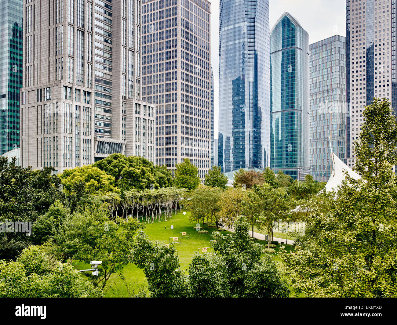 Il quartiere finanziario di Pudong, Shanghai, Cina Foto Stock