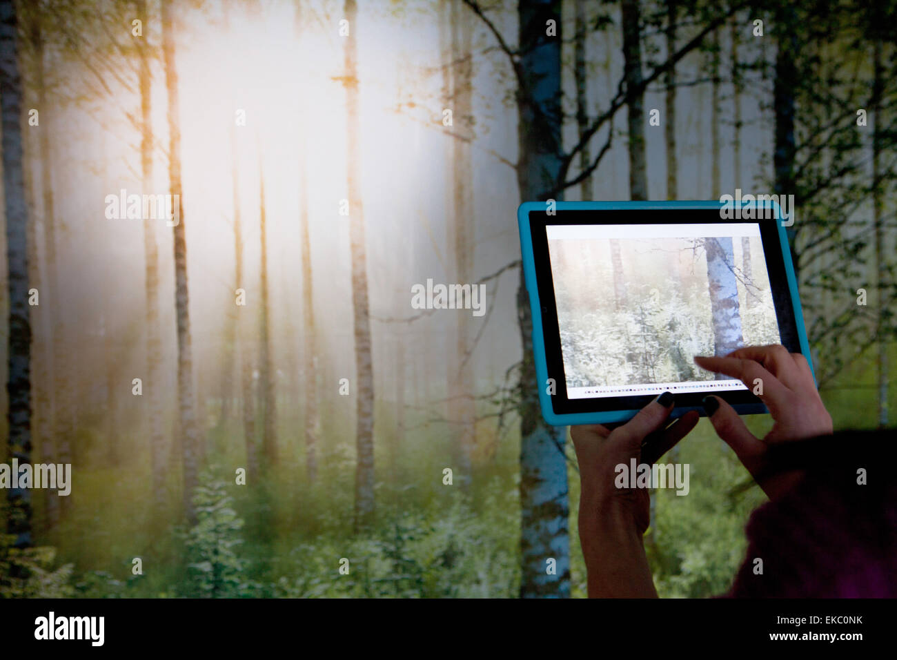 Persona con tavoletta digitale alla fotografia di scena di bosco Foto Stock
