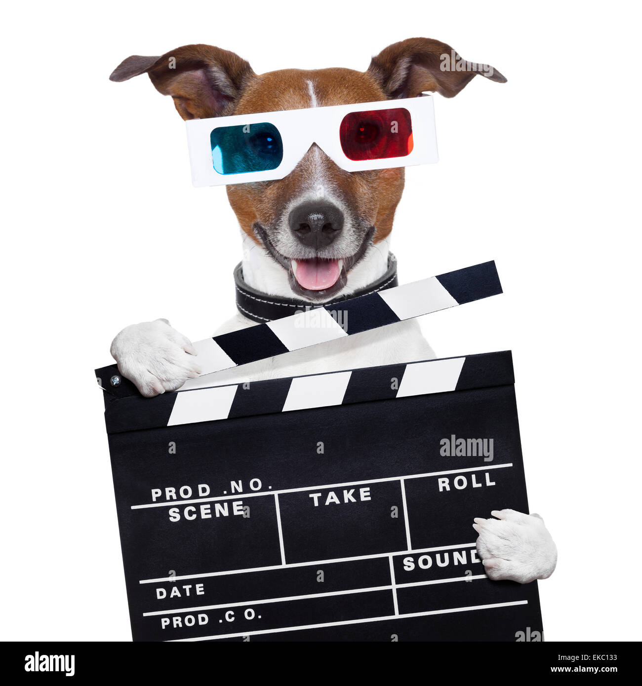 Filmato battaglio board occhiali 3d cane Foto Stock