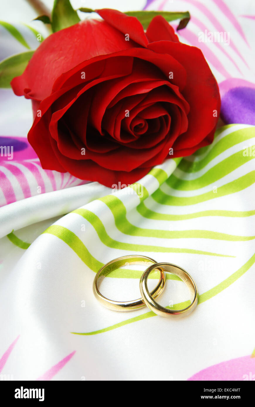 Red Rose e anelli d oro Foto Stock