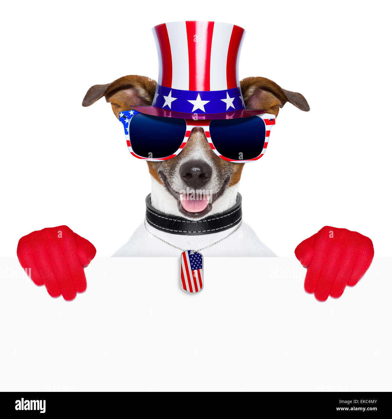 Stati Uniti d'America american dog Foto Stock