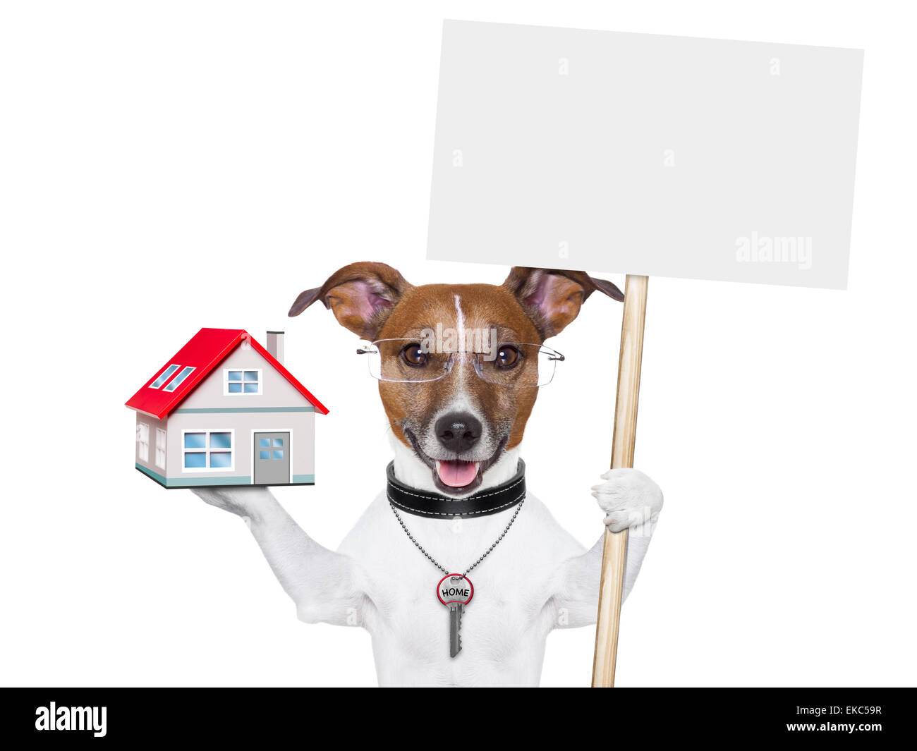 Banner cane a casa e chiave Foto Stock