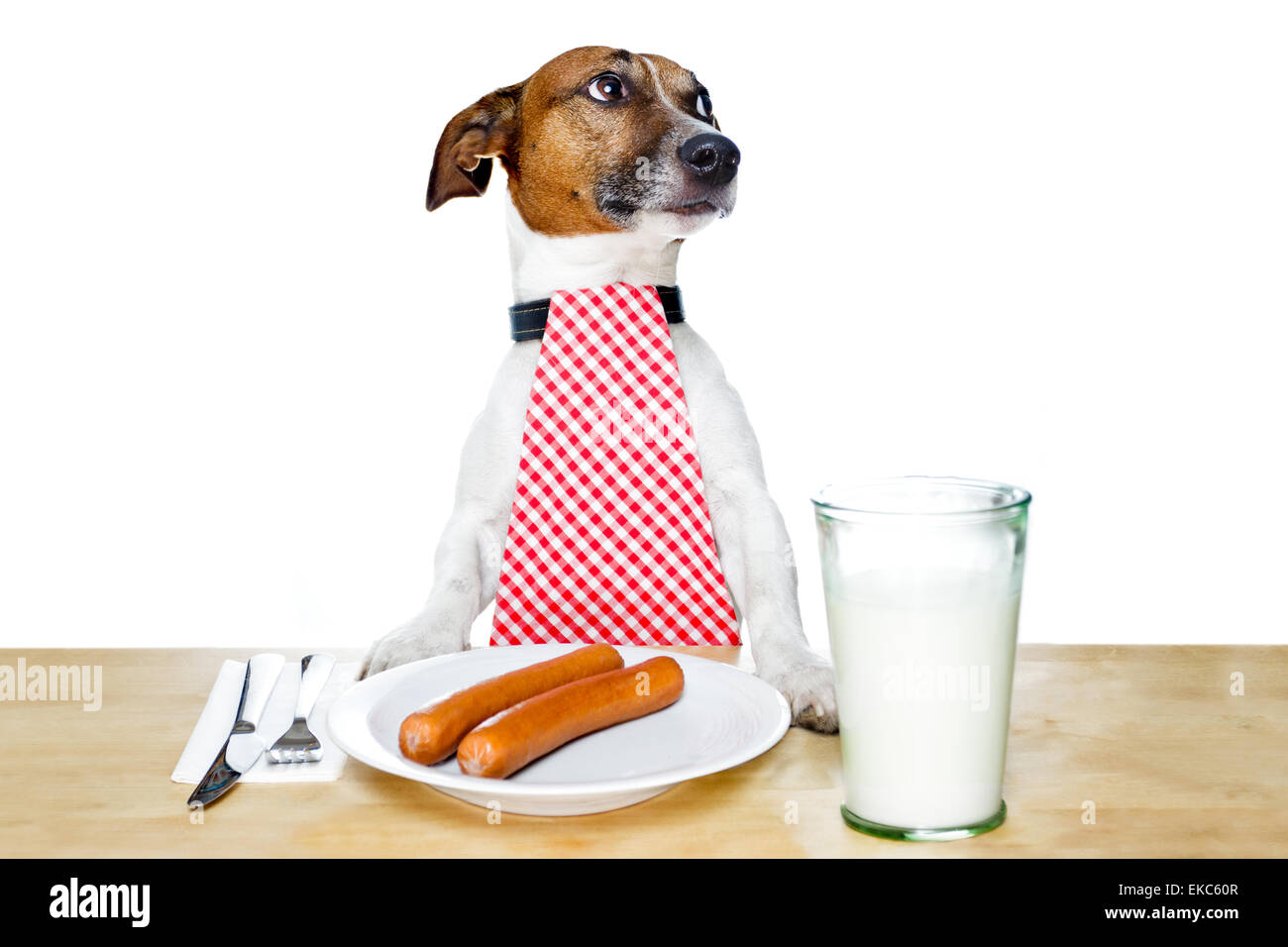 La cena al tavolo cane Foto Stock