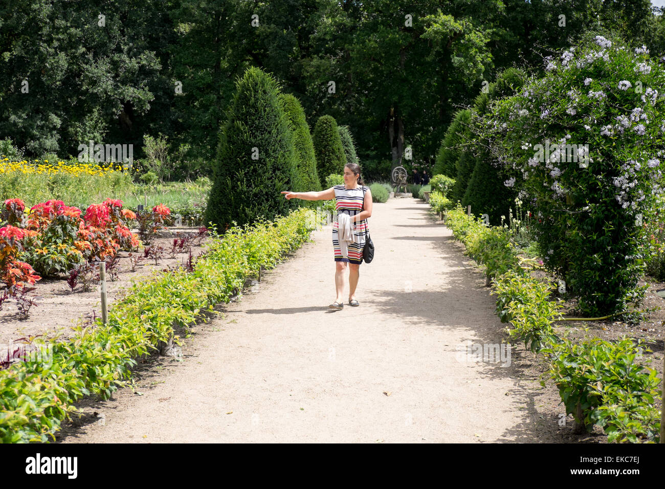 Per turisti in cerca di ortaggi e fiori in giardino a Chateau de Chenonceau in Indre-et-Loire, Francia Foto Stock