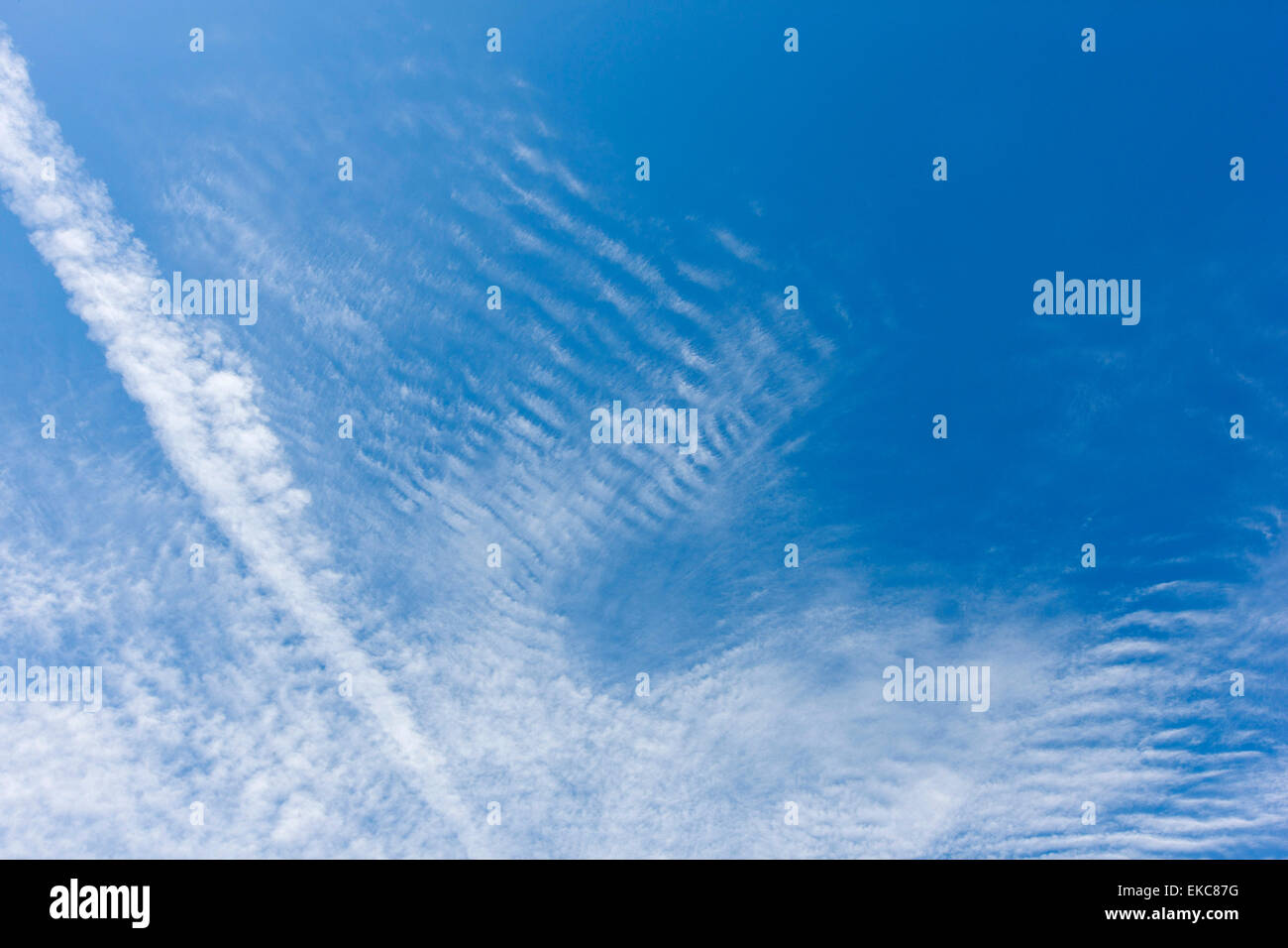 Cloud, cloud Cirrocumulus, soffici nuvole, altitudine elevata Foto Stock