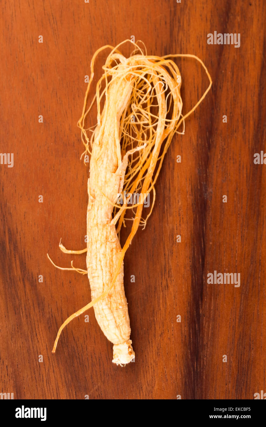 Radici di ginseng Foto Stock