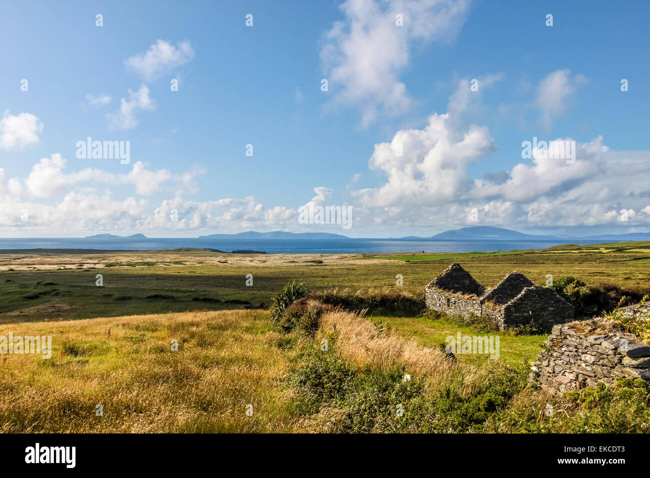 Pascoli e rovina sull' isola Valentia, nella contea di Kerry, Irlanda Foto Stock
