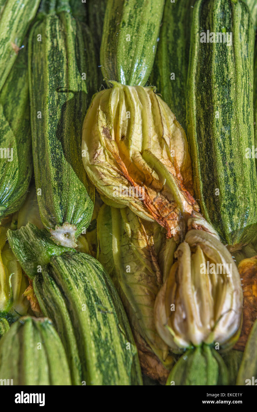 Zucchine e fiori sul display su un mercato in stallo Foto Stock