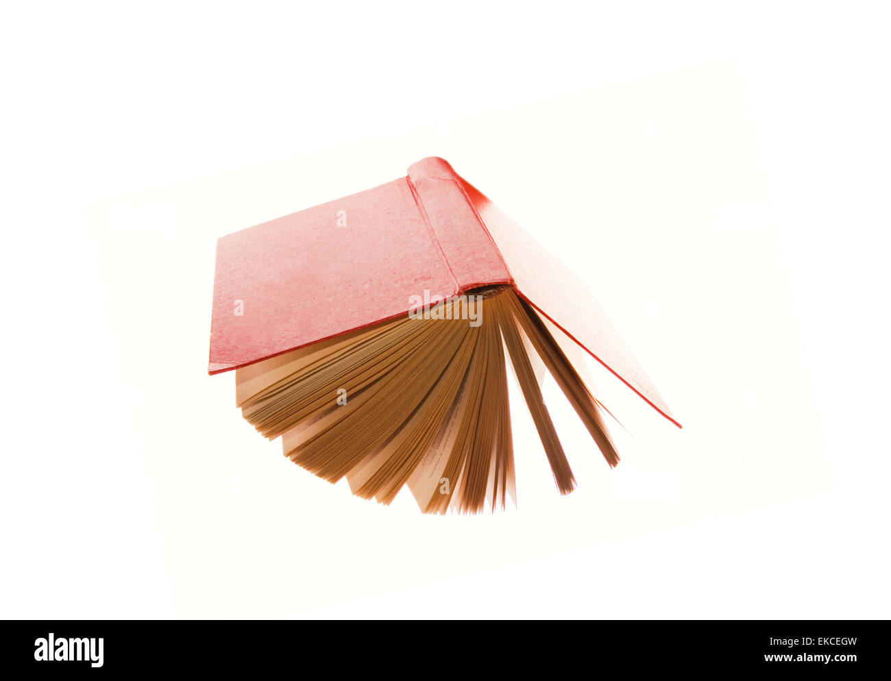 Vecchio libro isolato su bianco Foto Stock