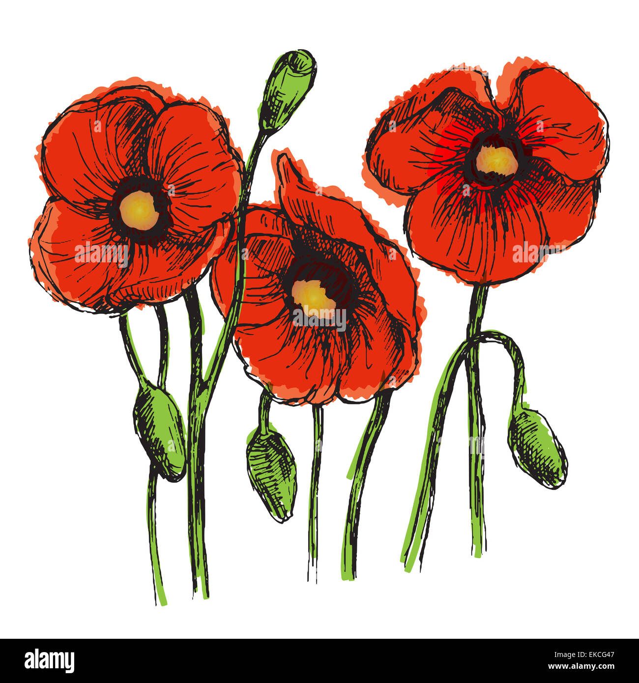 Set di fiori di colore. Schizzo convertiti in vettori. Foto Stock