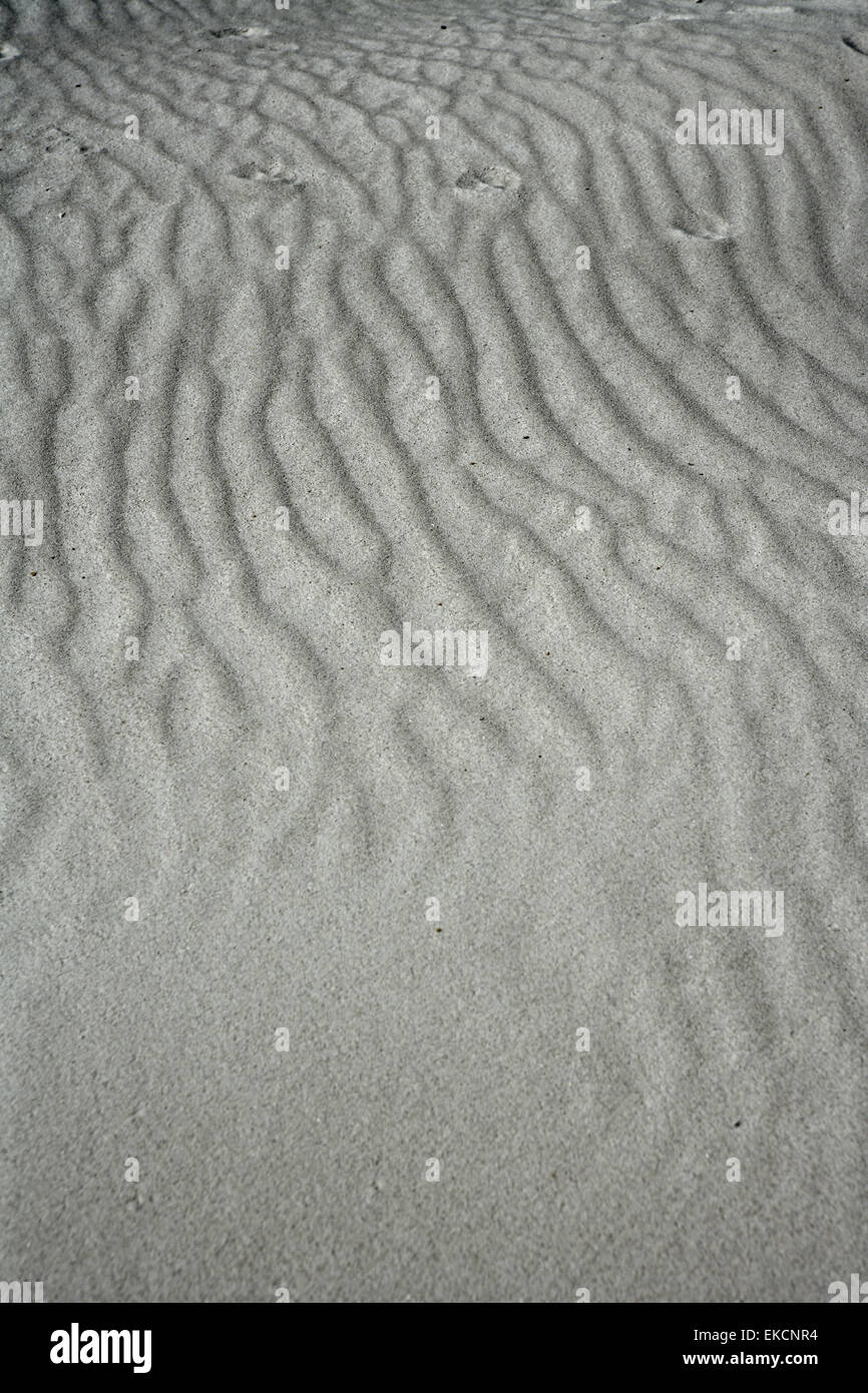 Onde di sabbia testure sulle sabbie bianche come il deserto Foto Stock