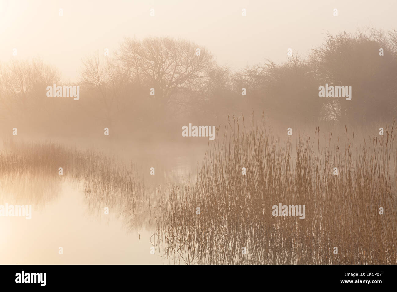 Barrow Haven nella Riserva Naturale del North Lincolnshire, Regno Unito. Il 9 aprile 2015. Foto Stock