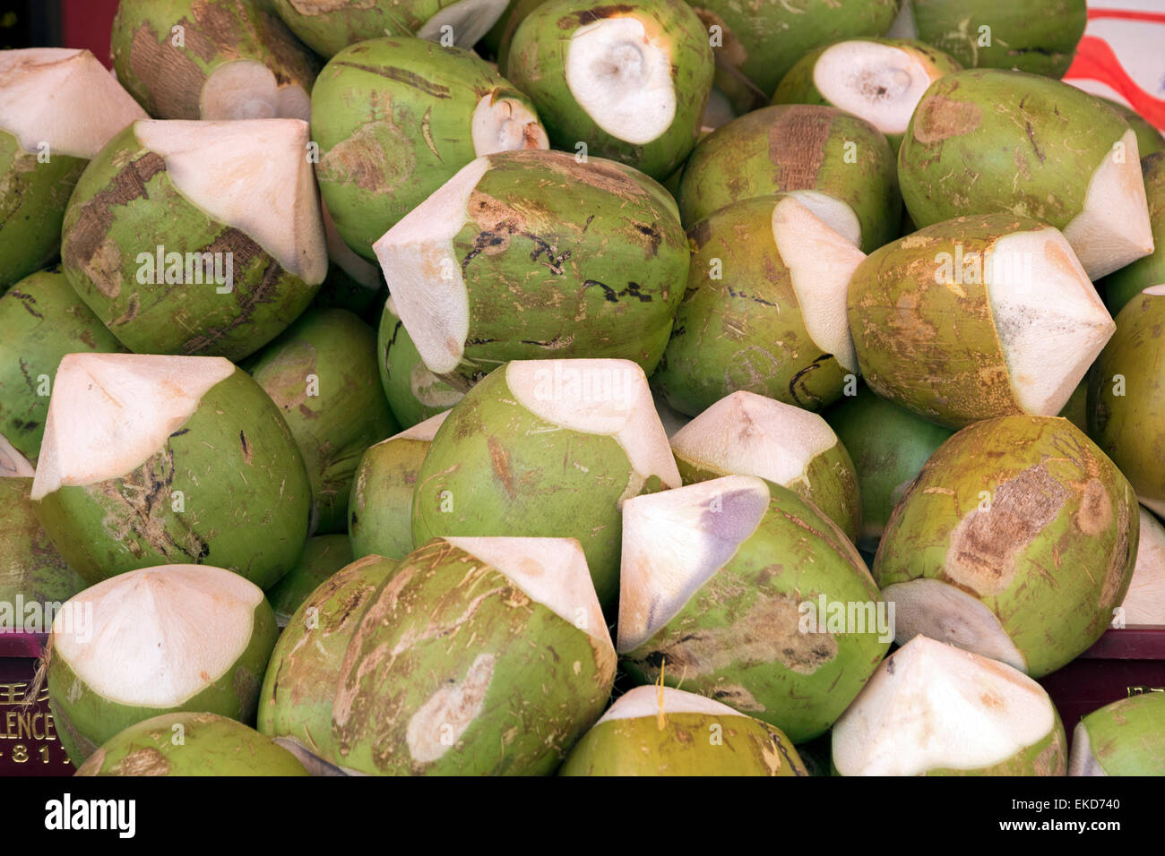 Rasate noci di cocco mature per mangiare e bere Foto Stock