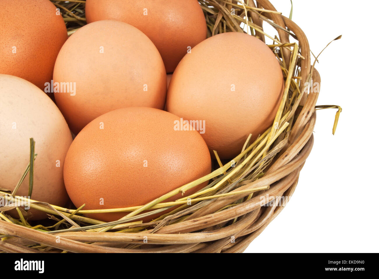 Uova di colore marrone a hay nel cestello Foto Stock