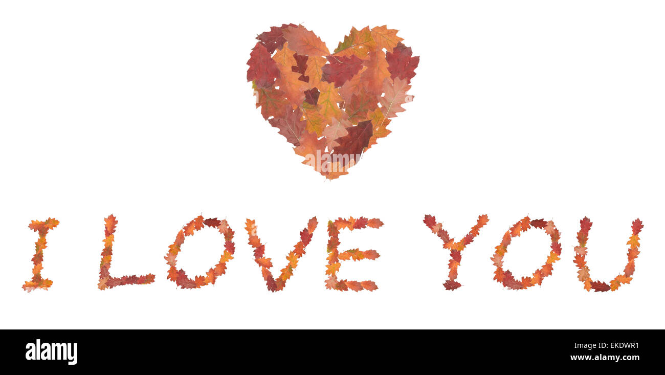La Frase Ti Amo Fatto Di Foglie Di Autunno Foto Stock Alamy