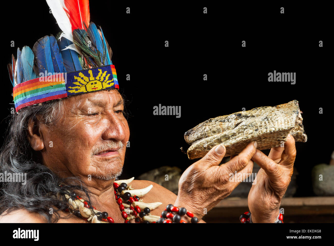 Shaman in Amazzonia ecuadoriana durante una vera e propria cerimonia Ayahuasca Modello rilasciato le immagini come si vede in aprile 2015 Foto Stock