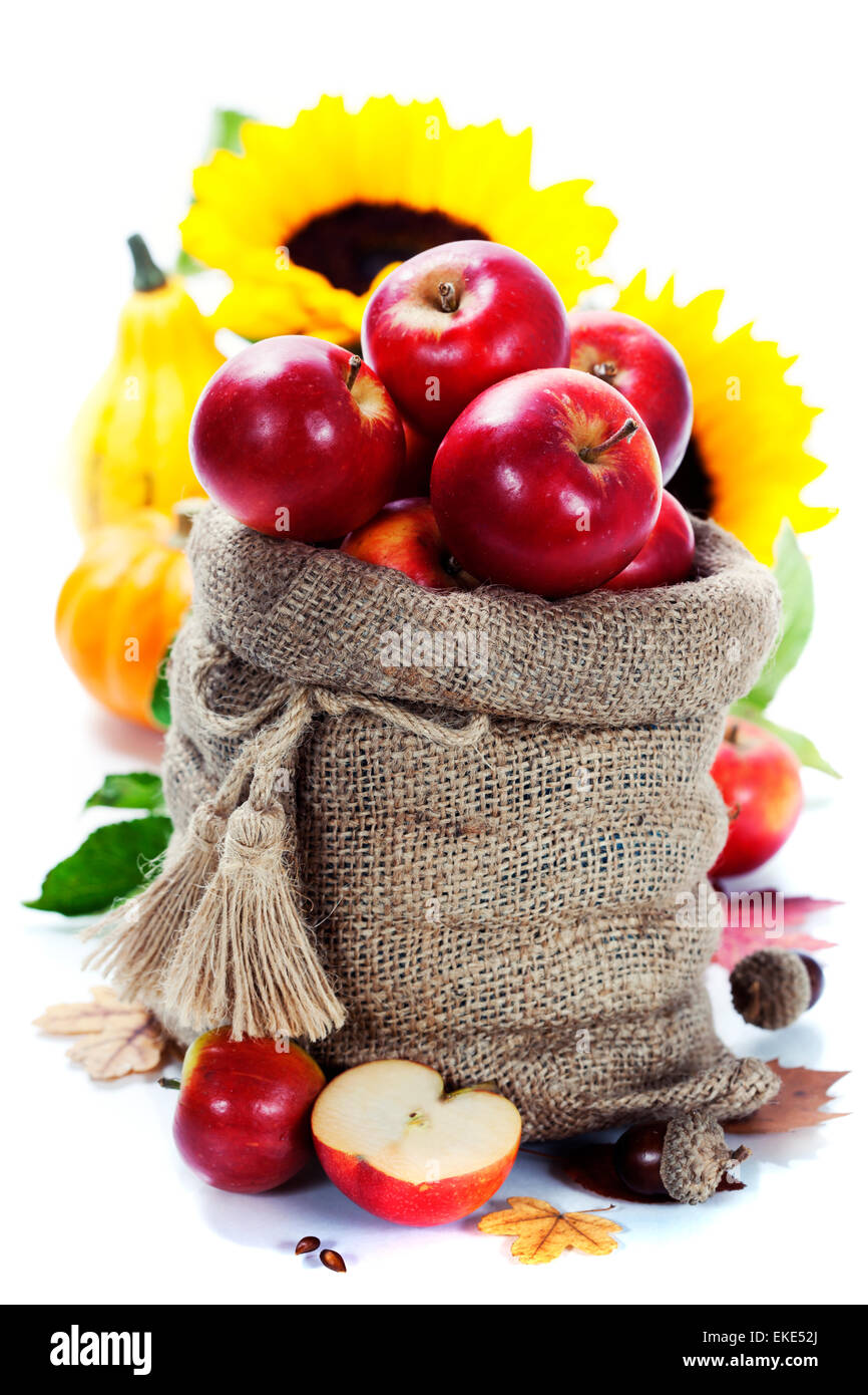 Tempo di raccolta Foto Stock