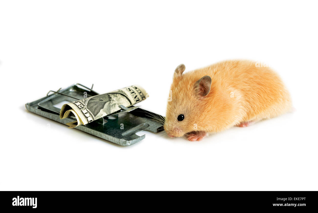 Denaro gratuito, come il formaggio è solo in un mousetrap Foto Stock
