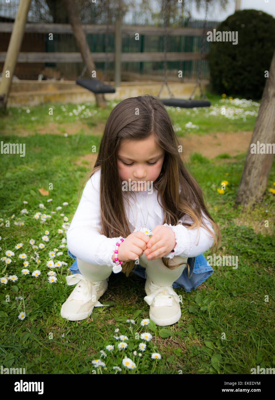 Bambino raccoglie margherite in un parco giochi all'aperto Foto Stock