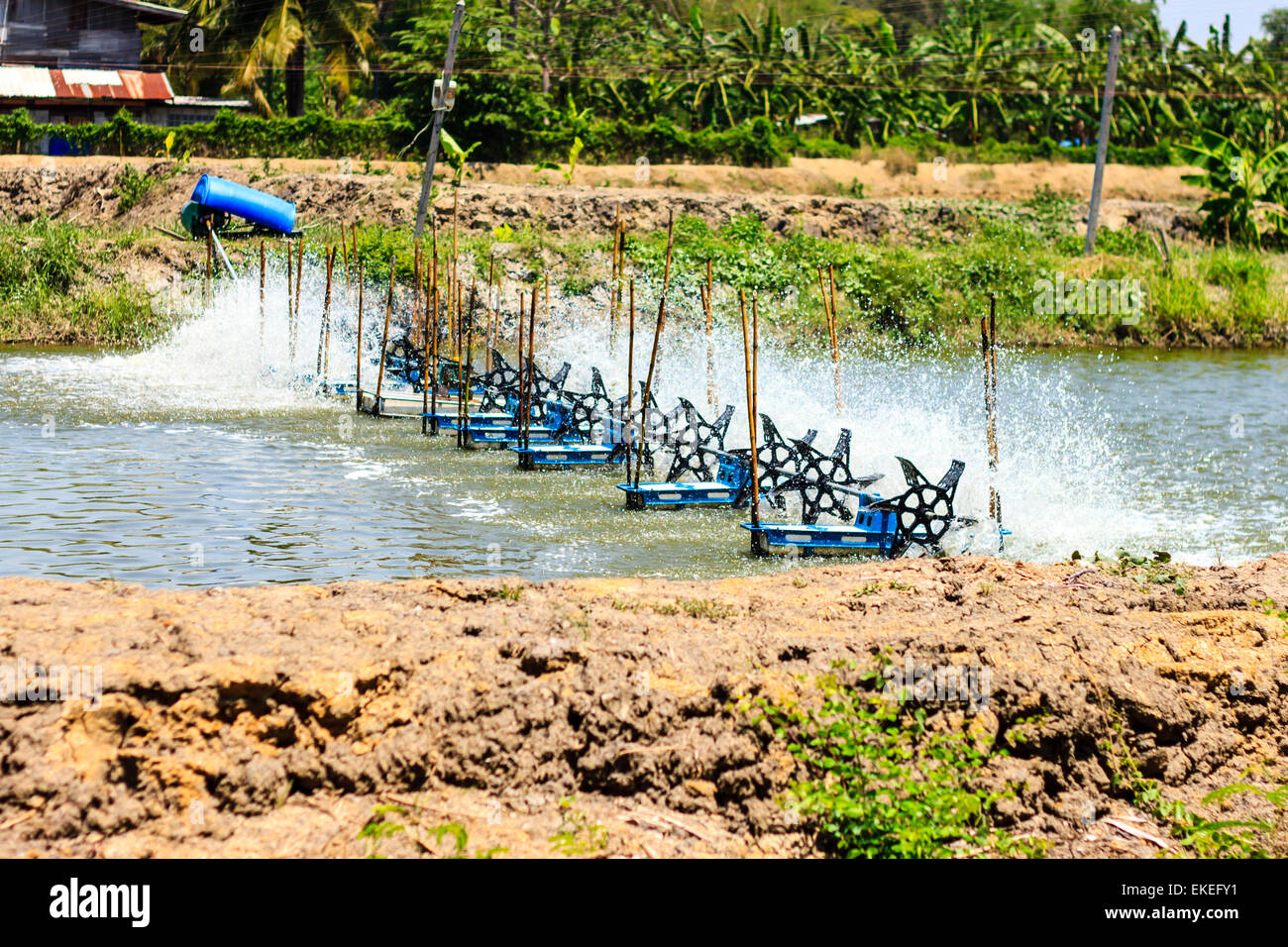 Acqua ruota di turbina riempire l'ossigeno in acqua Foto Stock