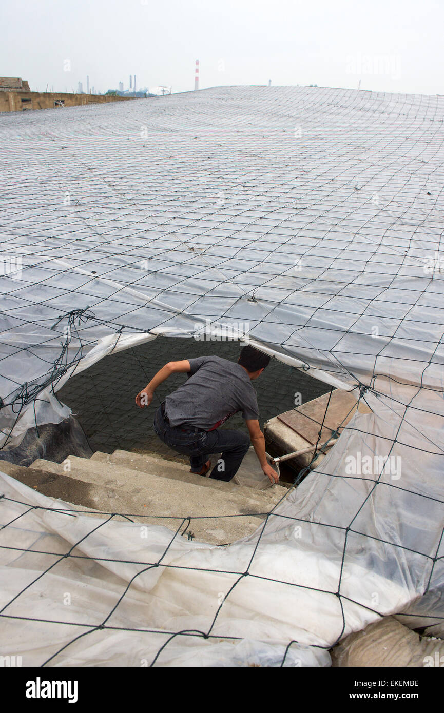 Gulei, la Cina della provincia del Fujian. 9 apr, 2015. Abitante Chen Bizhi esamina la sua gamberetti stagni di coltura come egli ritorna a casa dopo essere stato evacuato per un incendio presso un vicino impianto chimico in Xiliao villaggio di Gulei, a sud-est della Cina di provincia del Fujian, Aprile 9, 2015. L'olio fuoriuscito da un impianto di xilene in Tenglong idrocarburo aromatico (Zhangzhou) Co. Ltd. Gulei sulla penisola di Zhangzhou City ha preso fuoco e portato a esplosioni a tre serbatoi nelle vicinanze. Circa 30.000 residenti sono stati evacuati. © Jiang Kehong/Xinhua/Alamy Live News Foto Stock