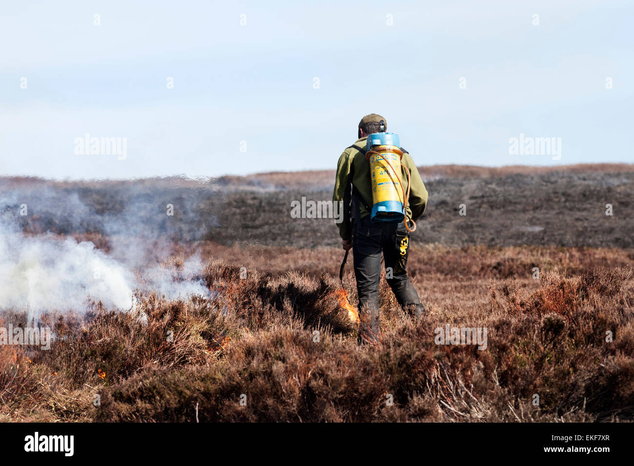Guardiacaccia Heather bruciare nel nord spiccioli Area di straordinaria bellezza naturale England Regno Unito Foto Stock