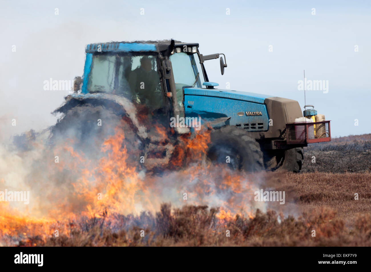 Il trattore viene impiegato per il taglio di un fuoco pausa durante la controllata Heather brucia in North Pennines England Regno Unito Foto Stock