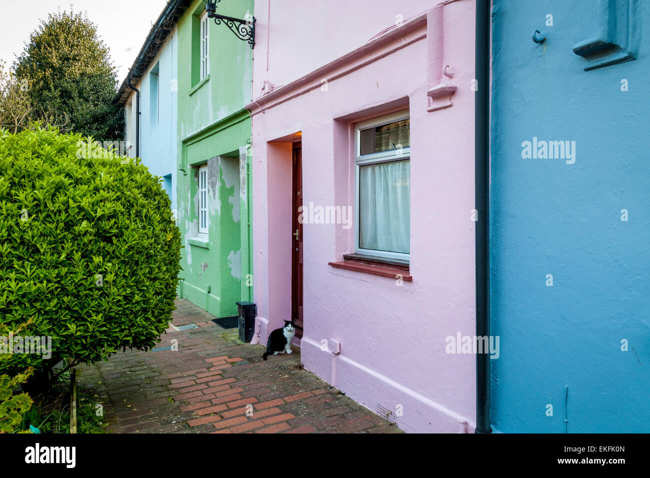 Case colorate, Lewes, East Sussex, Regno Unito Foto Stock