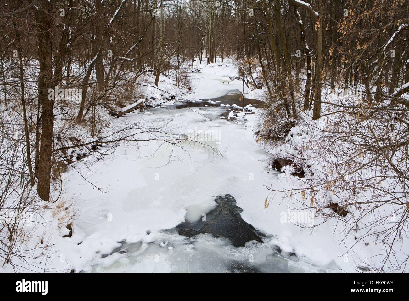 Il fiume Nero in Zeeland, Michigan ricoperto di ghiaccio e neve Foto Stock
