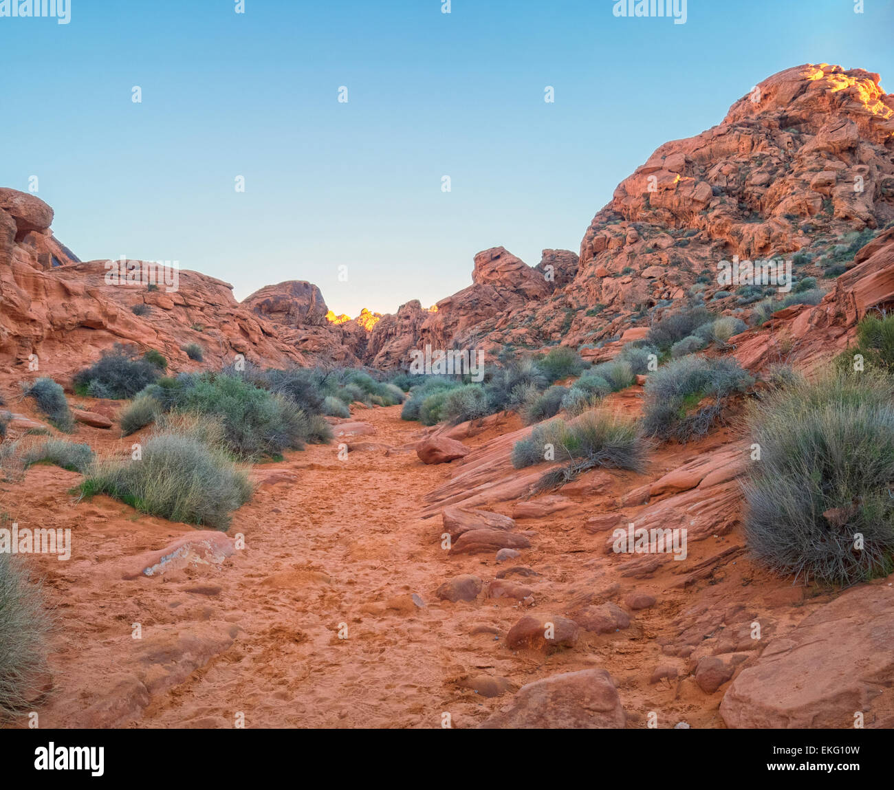 Il Red Rock formazioni arenarie deserto di sabbia rossa vegetazione, Mouse serbatoio del Canyon della Valle del Fuoco stato Parco Deserto Mojave Nevada Foto Stock