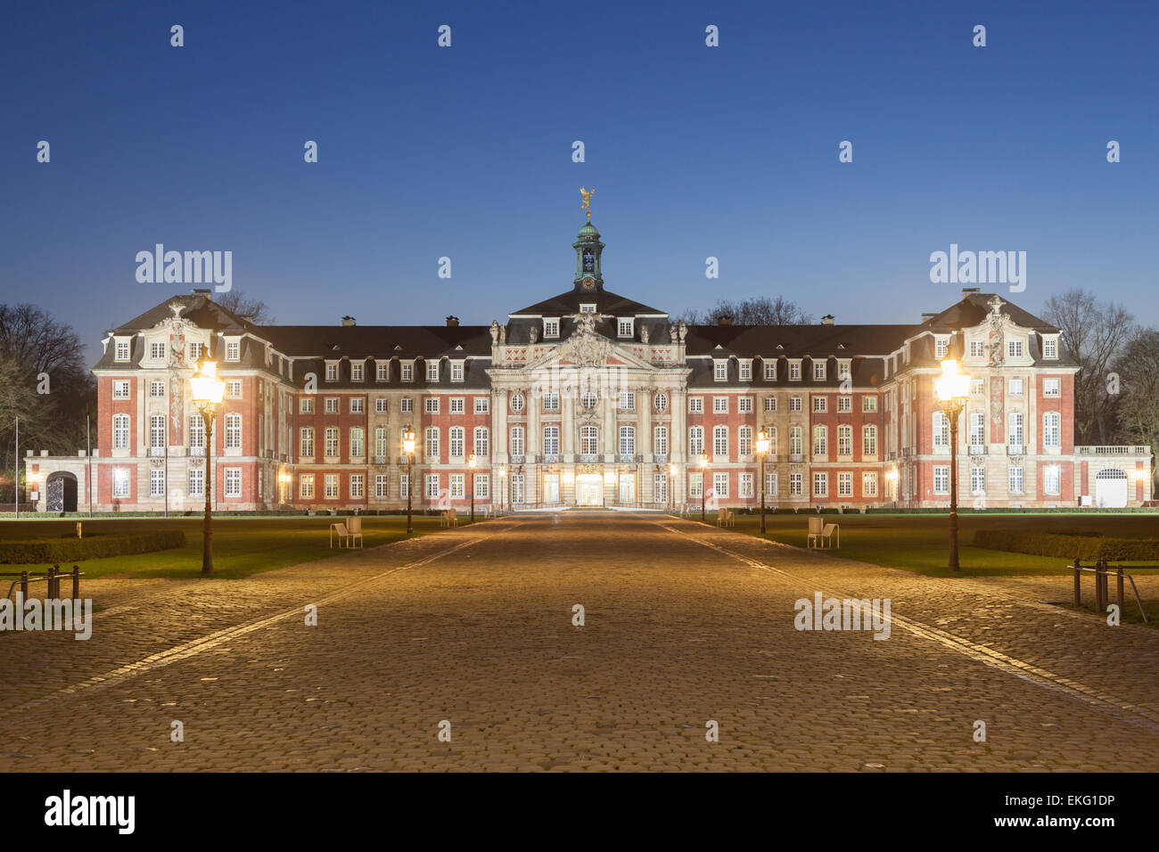 Il castello di Muenster illuminata di notte. Munster, Renania settentrionale-Vestfalia, Germania Foto Stock