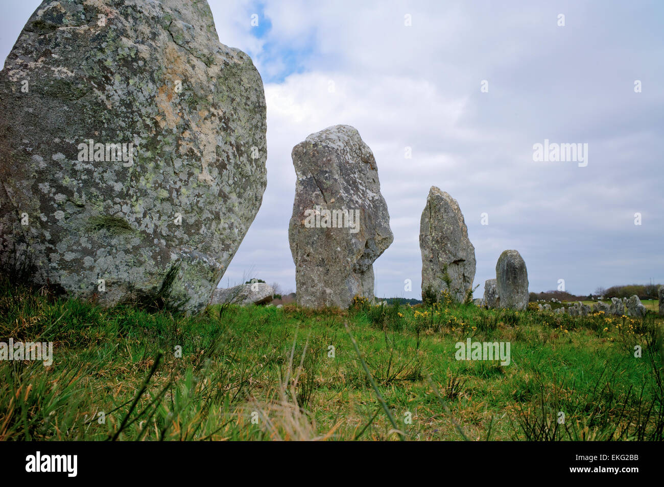 Pietre megalitiche in allineamento Menec a Carnac, Brittany, Francia Foto Stock